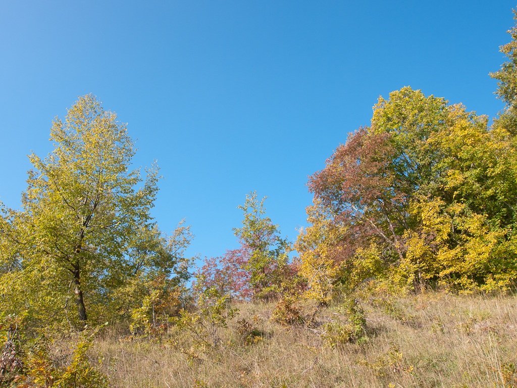 Autunno a solatio