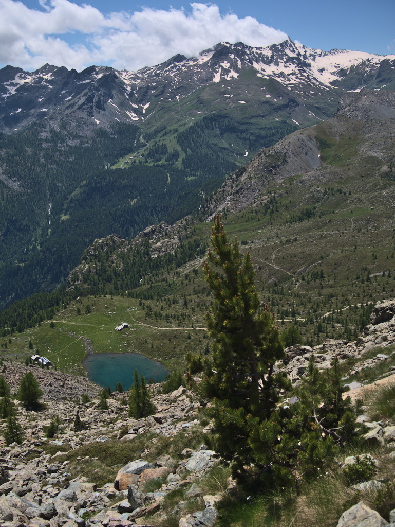 Lago Muffè e Rosa dei Banchi