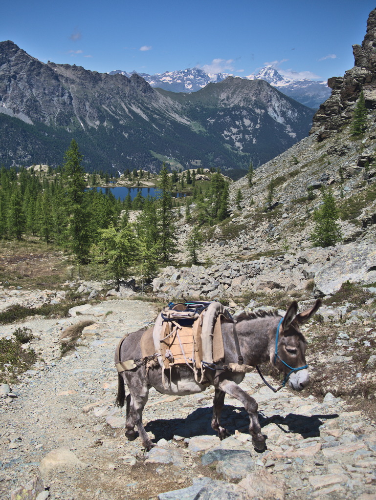 Verso il Barbustel
