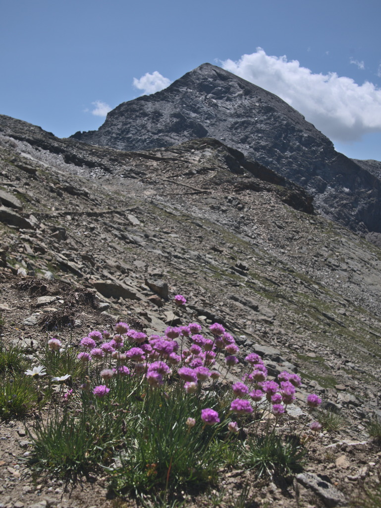 Strada di caccia