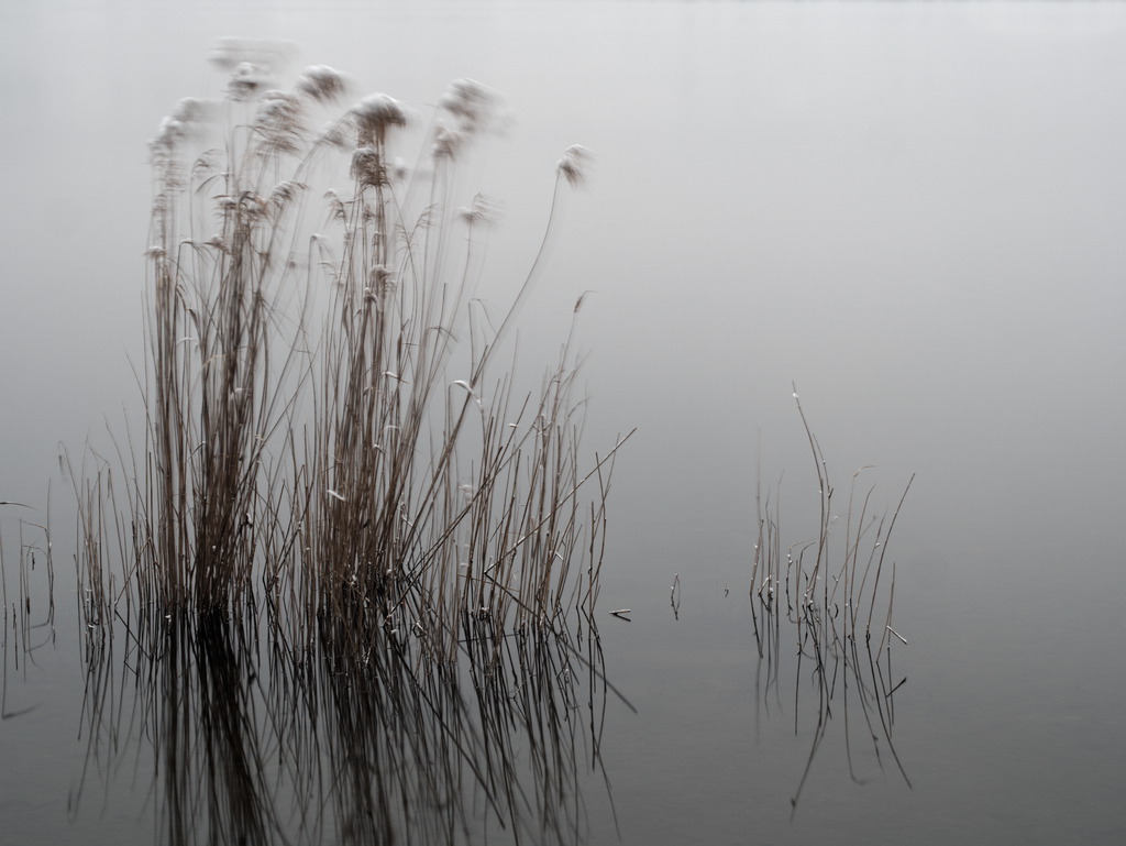 Lago Piccolo di Avigliana
