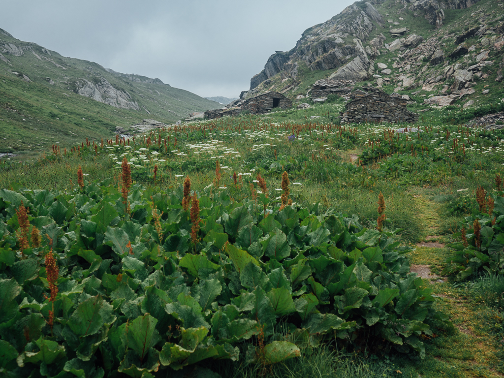 Baraques du Fond