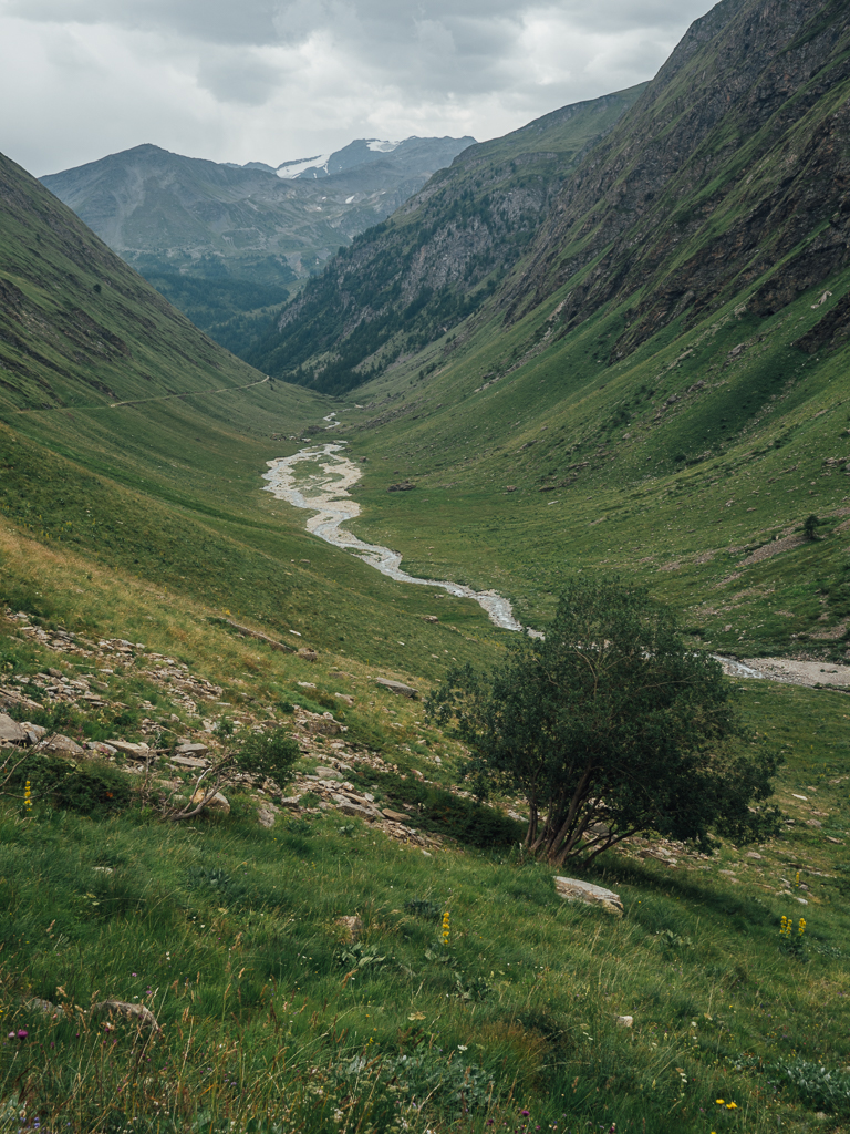 Vallon de Chavannes