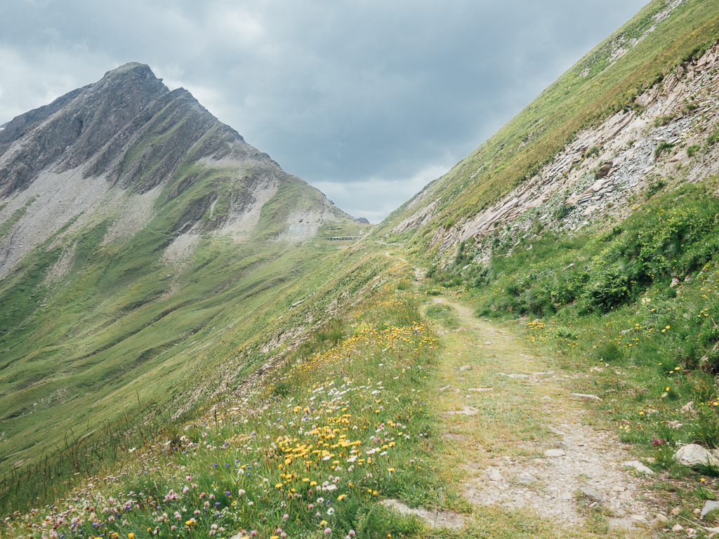 Col de Chavannes