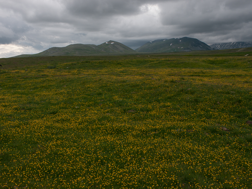 Campo Imperatore