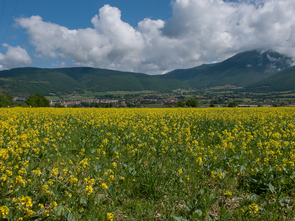 Piana di Santa Scolastica