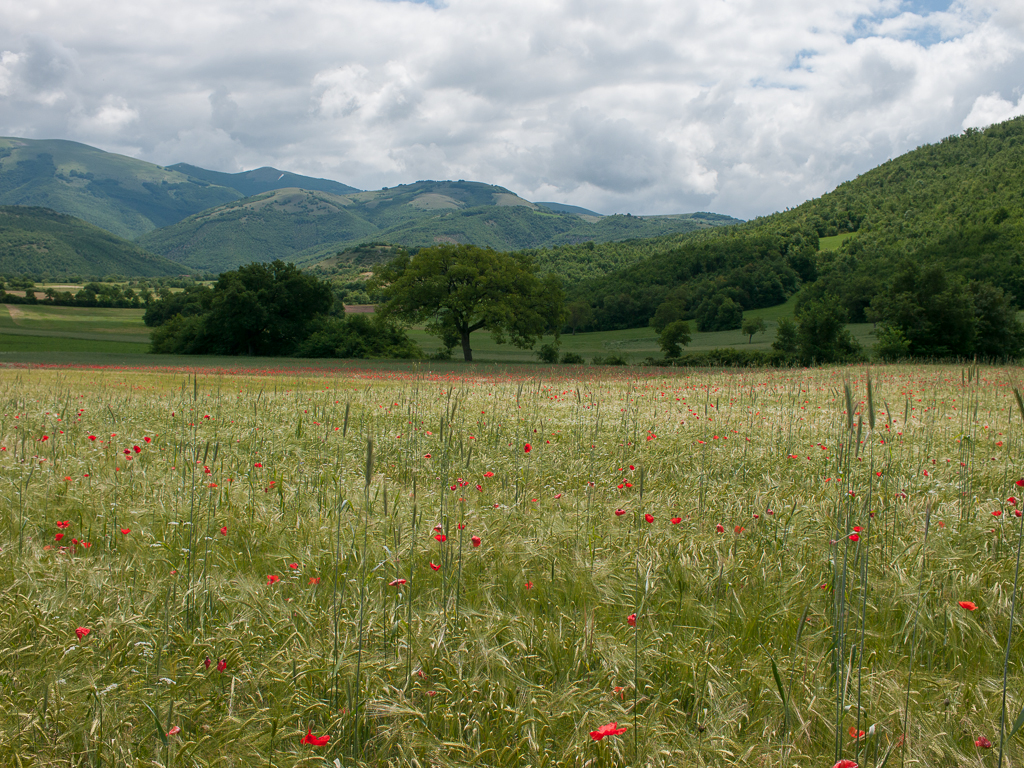 Piana di Santa Scolastica