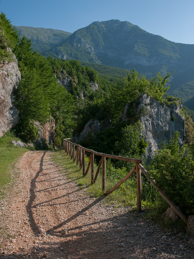 Sentiero per la Certosa di Trisulti