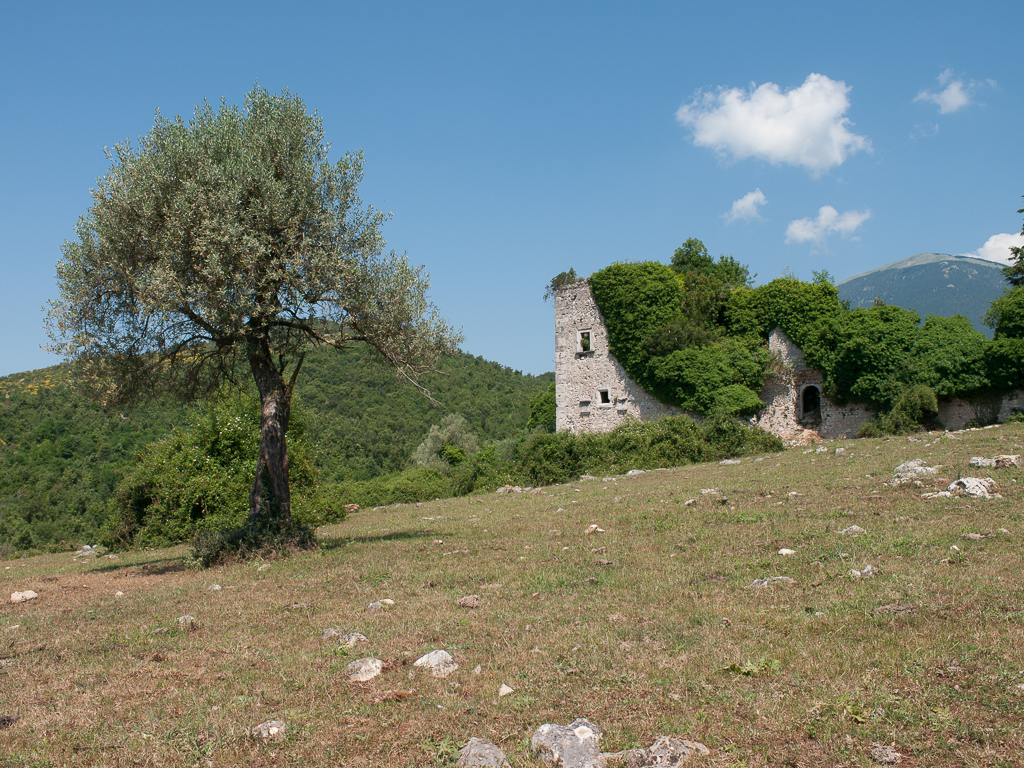 Masseria Albaneta