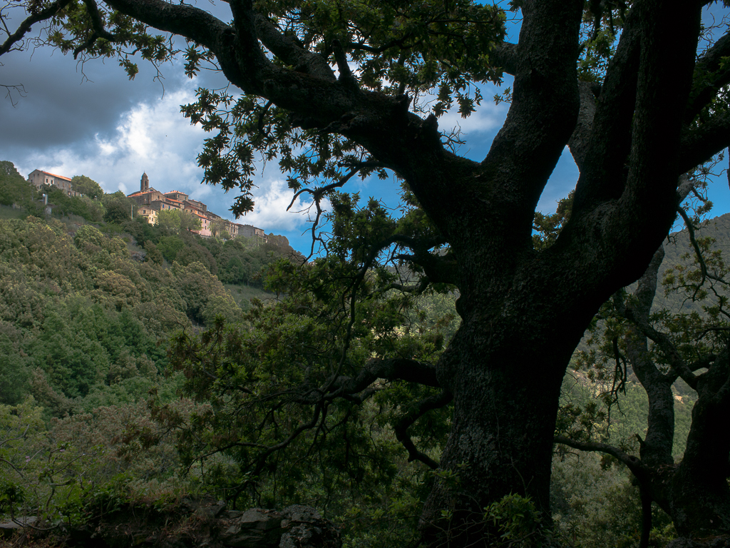 Santa Lucia di Mercurio