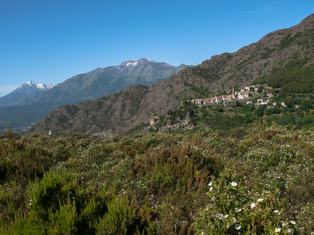 Castellare di Mercurio