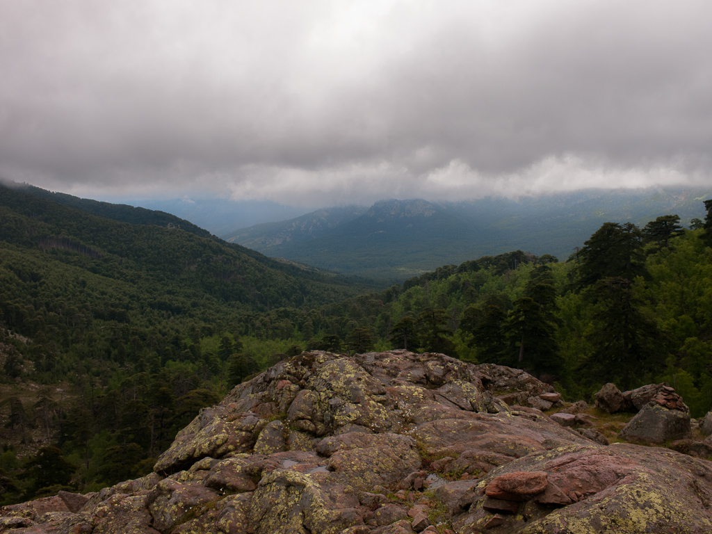 Valle del Golo