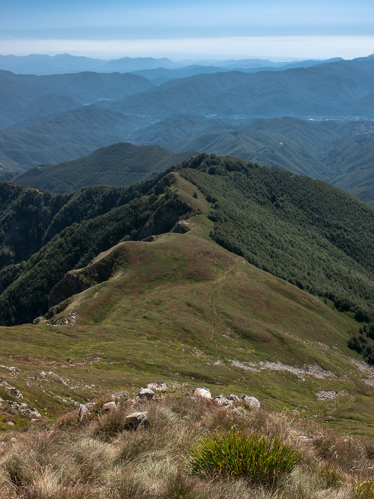 Verso la costa