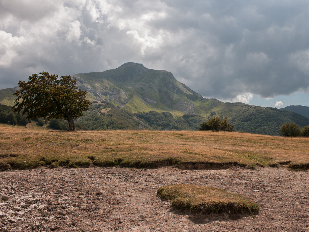 Prati di Sara e monte Cusna