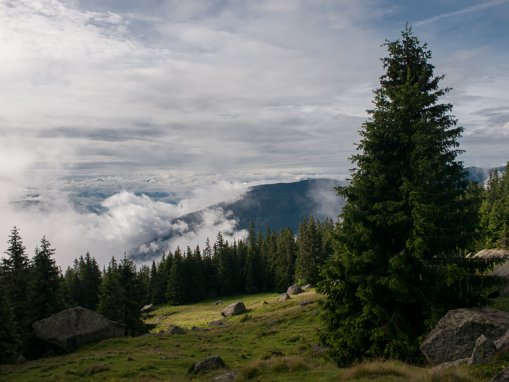 Goidner Alm