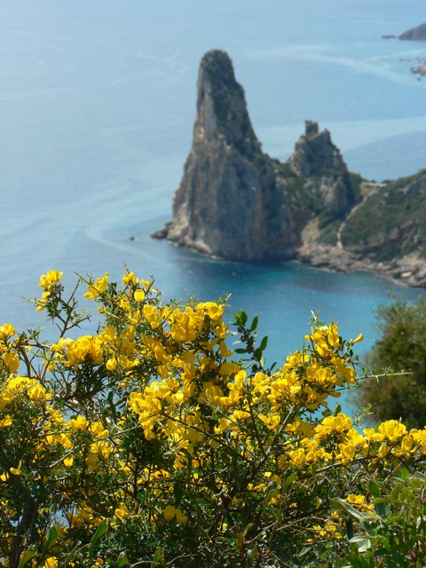 Profumi, colori e panorama