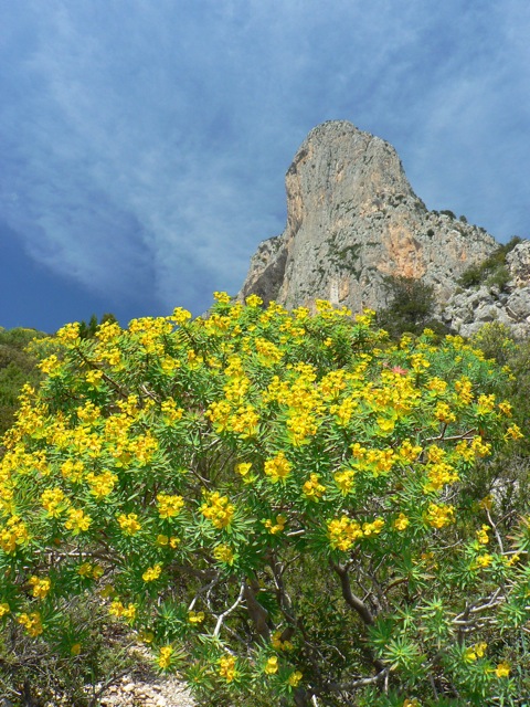 Punta Giradili