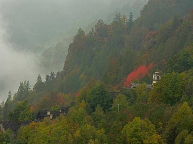 Borgata nel bosco