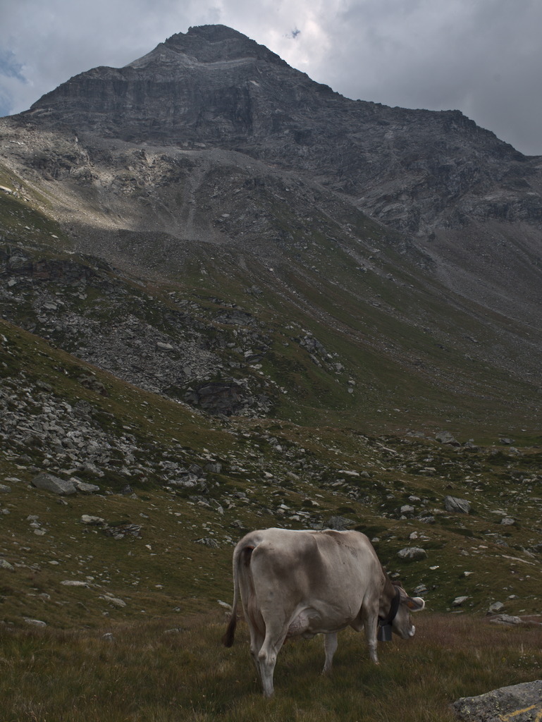 Pizzo Scalino