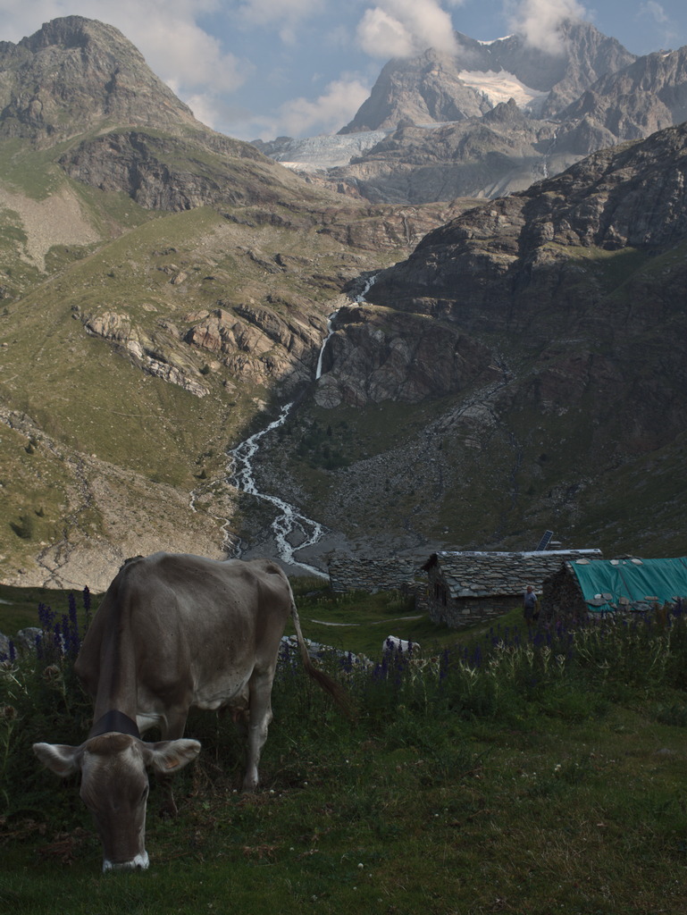 Alpe Gembrè