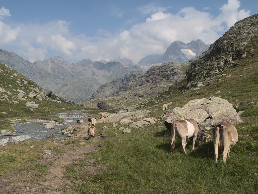 Alpe Poschiavina