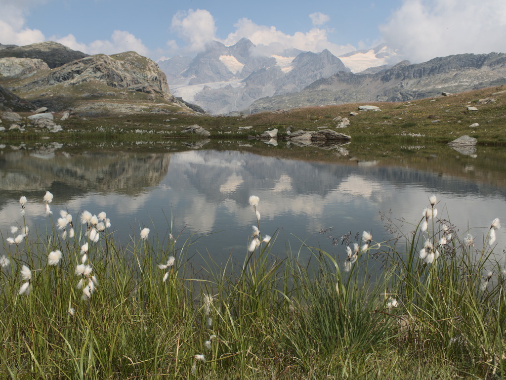 Lago di Canciano